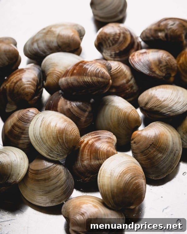Umami Clam Miso 4 Freshly washed littleneck clams resting on a stainless steel sheet, ready for purging.