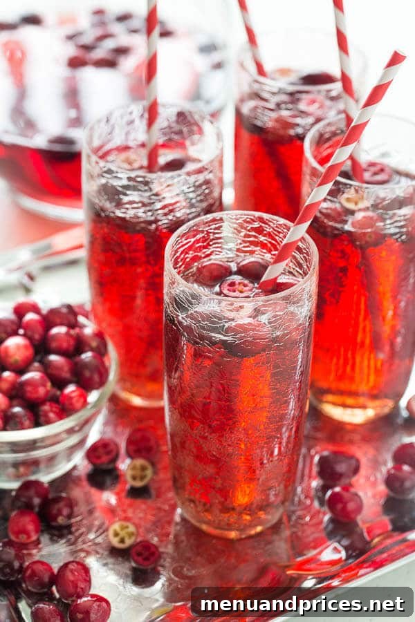 A beautifully garnished glass of Cranberry Ginger Ale Punch, sparkling and ready to serve at a holiday party.