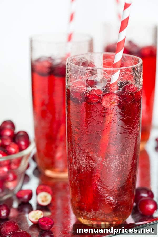 Close-up of the festive Cranberry Ginger Ale Punch, highlighting its vibrant color and fresh cranberries.