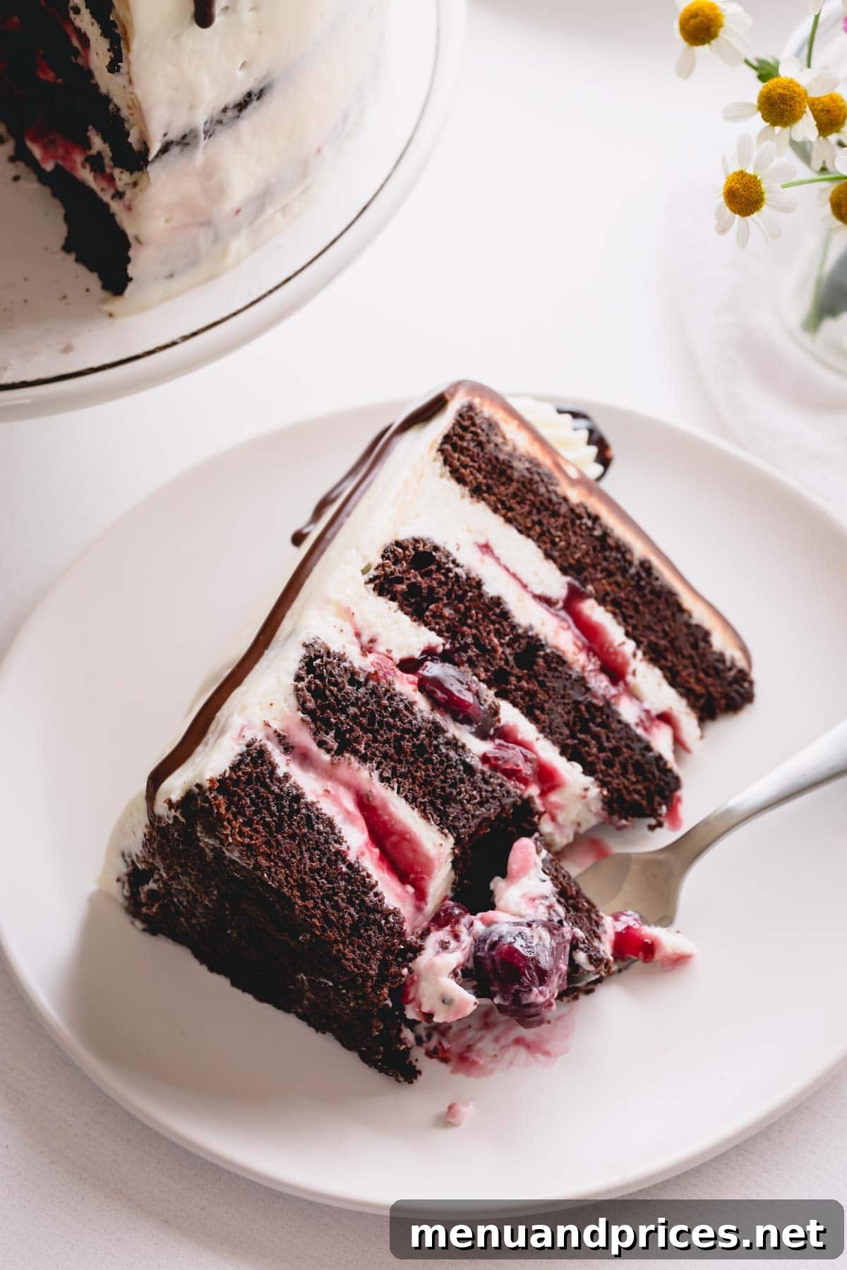 Decadent Black Forest Torte 9 A single slice of chocolate layer cake with white chocolate mousse and cherry filling on a white plate.