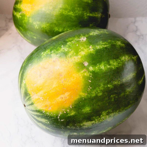 2 whole watermelons with bright yellow field spot.