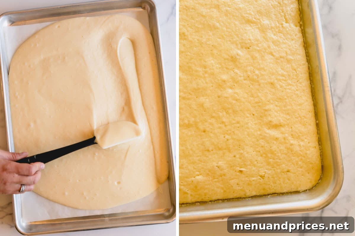 Foolproof Cake Pop Delight 5 Illustrations showing a spatula spreading cake batter into a pan, followed by a perfectly baked sheet cake.