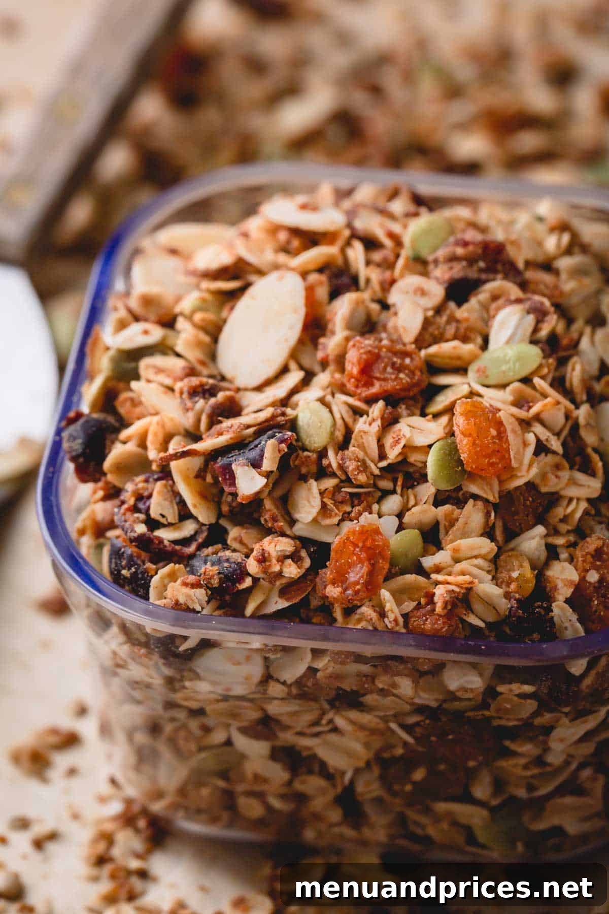 Wholesome Almond Crunch Granola 2 A container of delicious homemade almond granola with dried fruit, ready to be enjoyed for breakfast or a healthy snack.