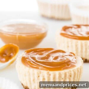 Spiced Chai No-Bake Mini Cheesecakes 6 Chai Latte No-Bake Mini Cheesecakes
