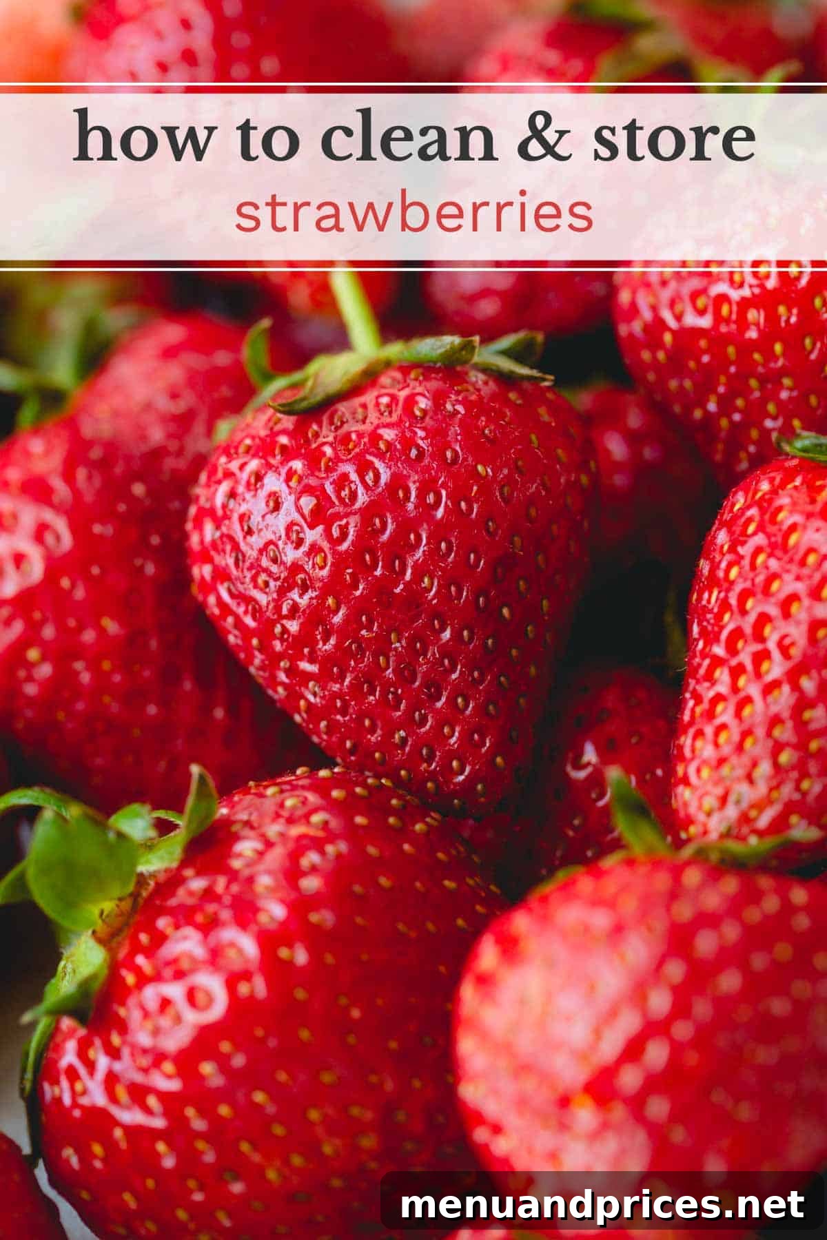 Prepare Strawberries for Extended Freshness 2 A vibrant image of fresh strawberries with a text banner overlaid, reading "how to clean & store strawberries". This image visually introduces the topic of preserving berry freshness.