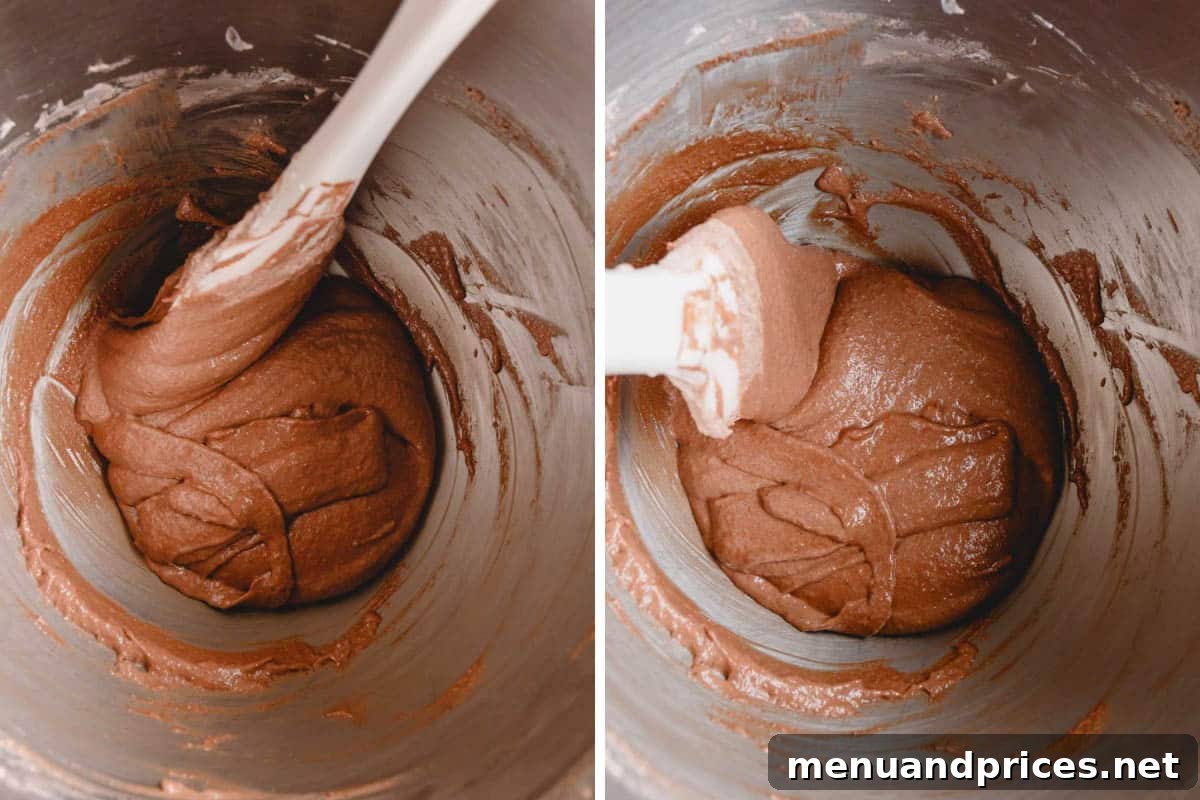 Heavenly Chocolate Macarons 13 Side-by-side images depicting the macaron batter undergoing the crucial ribbon test, showcasing its ideal consistency.