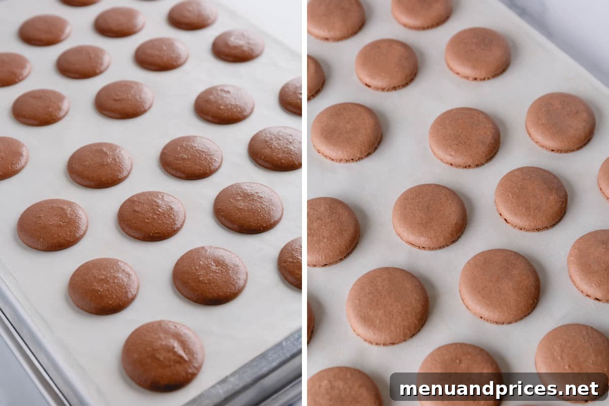 Heavenly Chocolate Macarons 14 Side-by-side images showing raw, piped chocolate macaron shells on a baking sheet next to a batch of perfectly baked shells, highlighting the transformation.