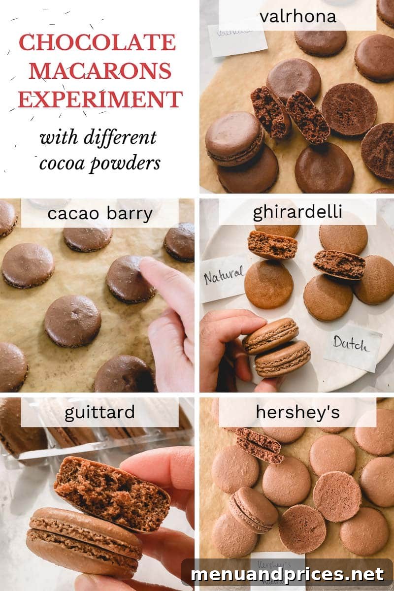 Heavenly Chocolate Macarons 19 A beautifully composed shot of finished chocolate macarons, emphasizing their glossy tops and rich color, ready for serving or sharing.