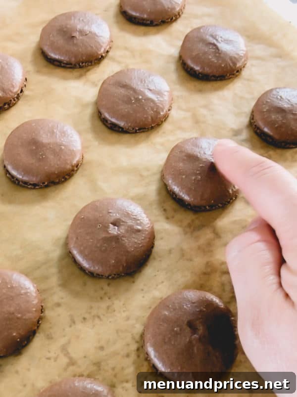 Heavenly Chocolate Macarons 6 Macarons made with Cacao Barry Extra Brut cocoa powder, showcasing their deep, rich color.
