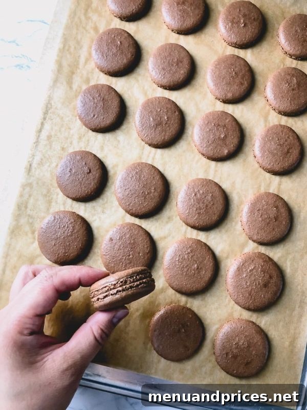 Heavenly Chocolate Macarons 8 Guittard Rich Dutched cocoa powder macarons, showing their perfect shells and darker brown hue.