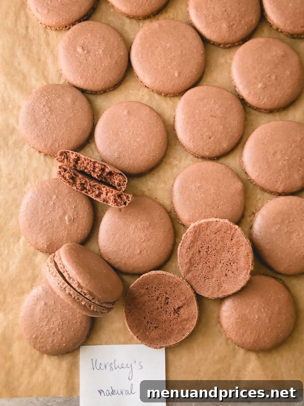 Heavenly Chocolate Macarons 10 Macarons made with Hershey's Natural cocoa powder, showcasing their consistent perfection and lighter brown color.