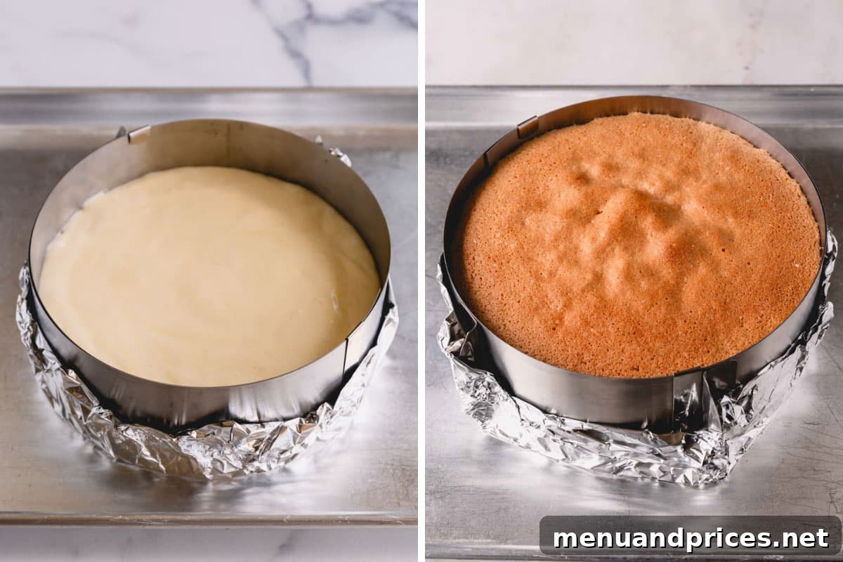 Side-by-side images of sponge cake batter in a round cake pan before and after baking, showing its rise.