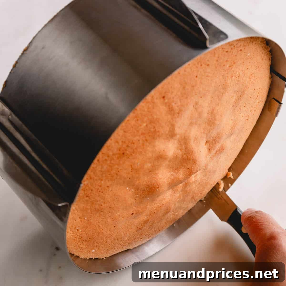 A baked sponge cake resting in a springform pan, with a paring knife loosening the edges.