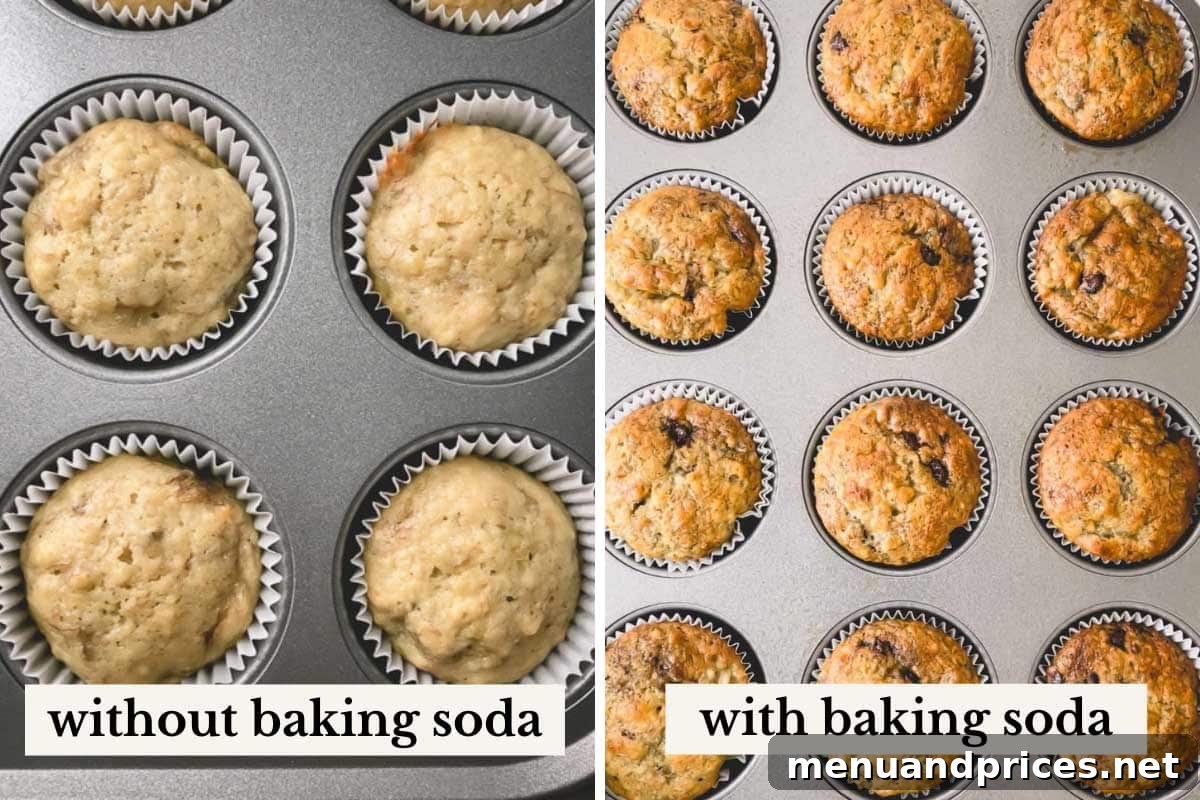 Baking Soda vs Baking Powder: Unraveling the Mystery 6 Side by side images of banana muffins, on the left pale muffins and on the right golden brown muffins, illustrating the effect of baking soda on browning.