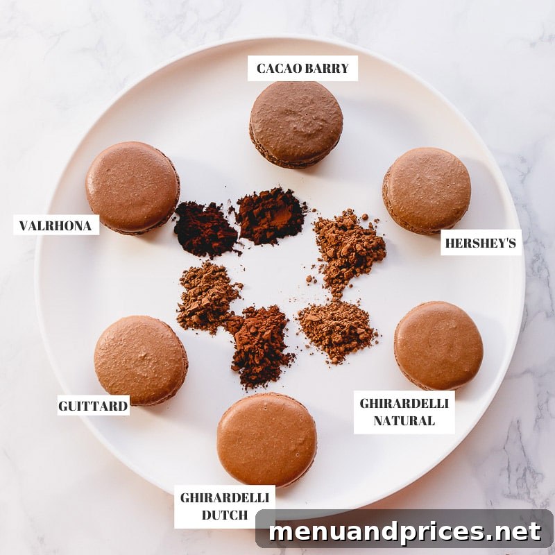 Mastering Cocoa Powder Your Guide to Varieties and Their Best Uses 3 Six different chocolate macarons on a white plate with various cocoa powders next to them, illustrating color differences.