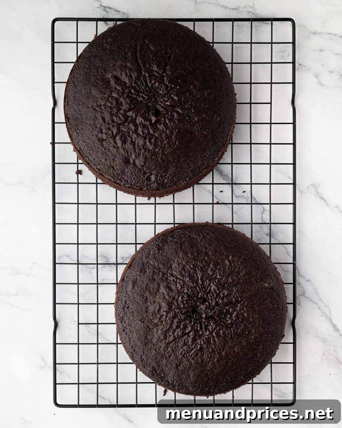 Two fully cooled round chocolate cakes, removed from their pans and ready for assembly, on a wire rack.
