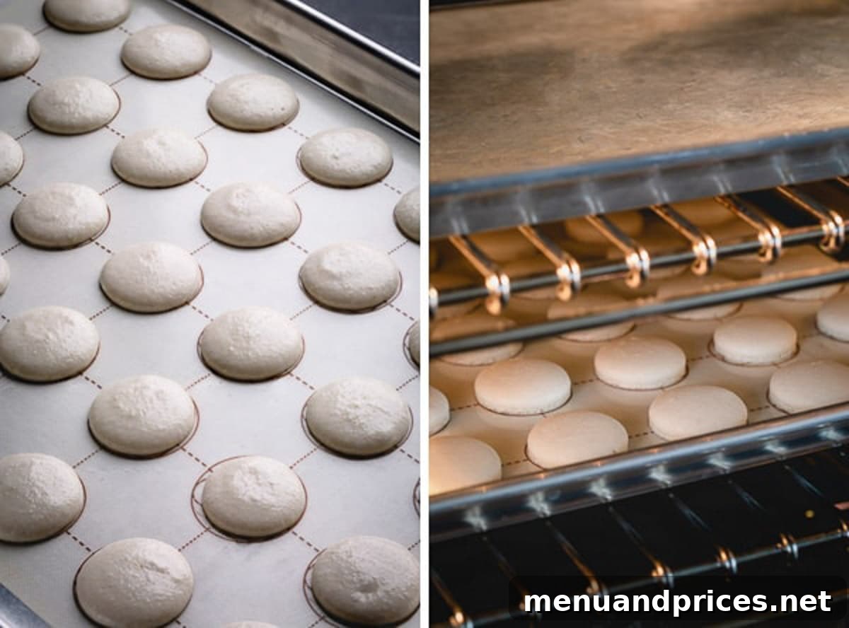 Espresso Dream Macarons 13 Side by side images of unbaked macaron shells and baked shells.