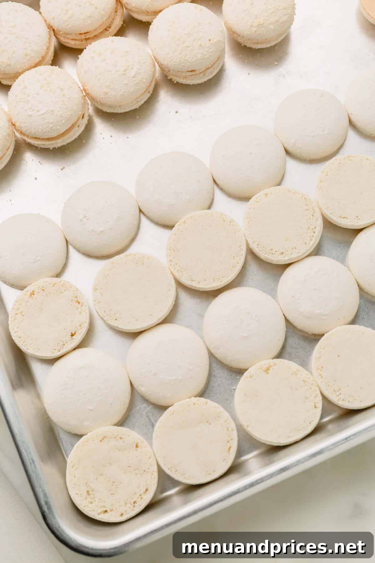 Espresso Dream Macarons 25 White macaron shells paired by side and arranged on a baking sheet.