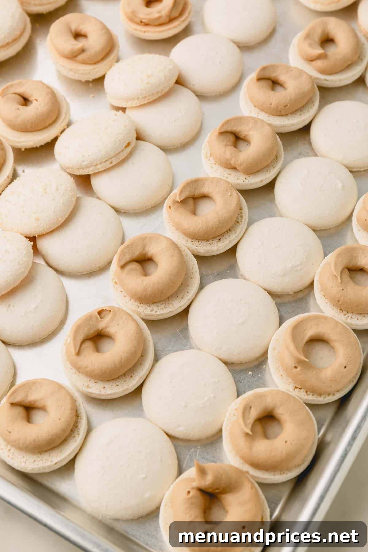 Espresso Dream Macarons 26 Tiramisu ganache piped into a ring on macaron shells.