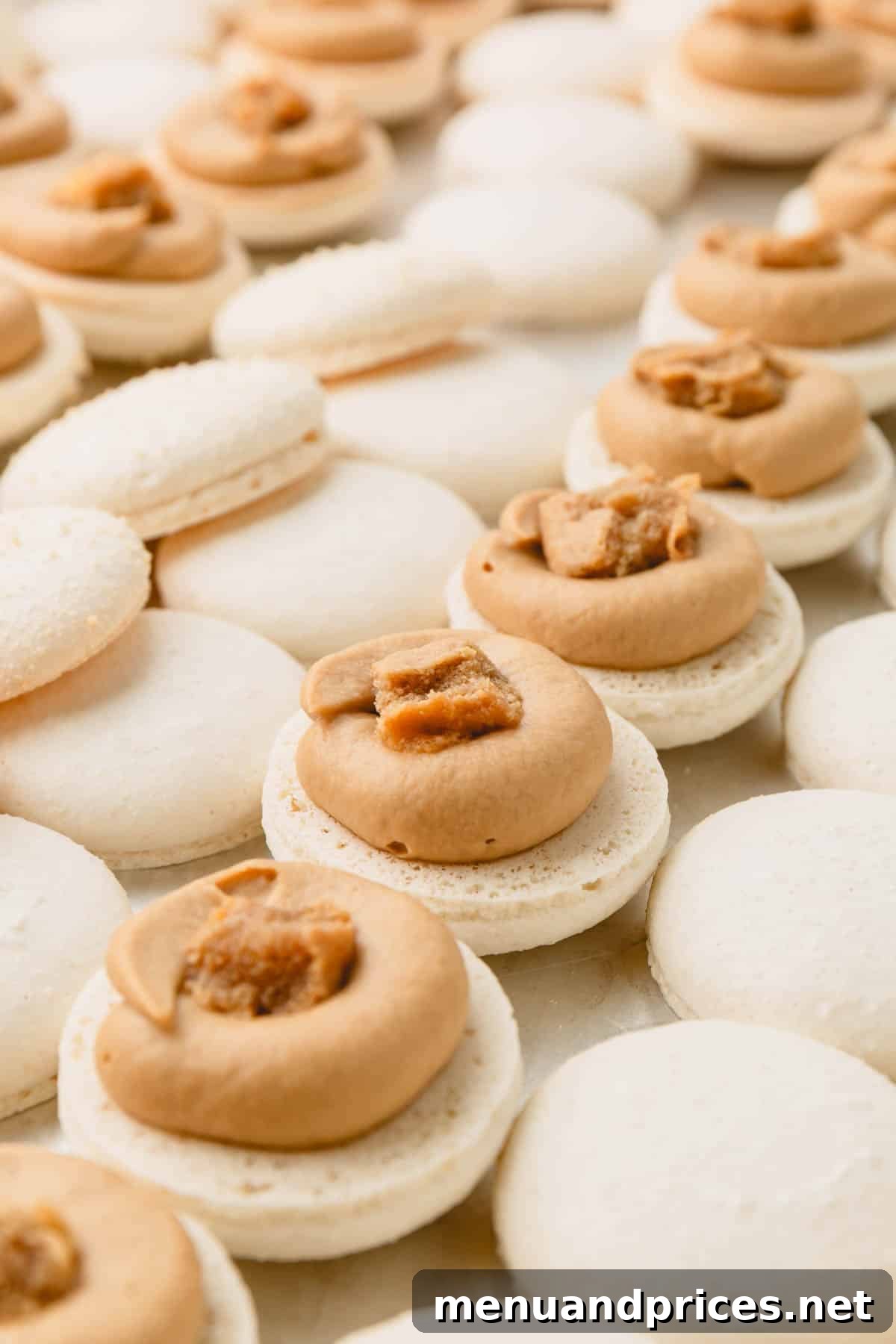 Espresso Dream Macarons 27 White macaron shells with a ring of ganache and espresso-soaked ladyfinger cookies in the middle.