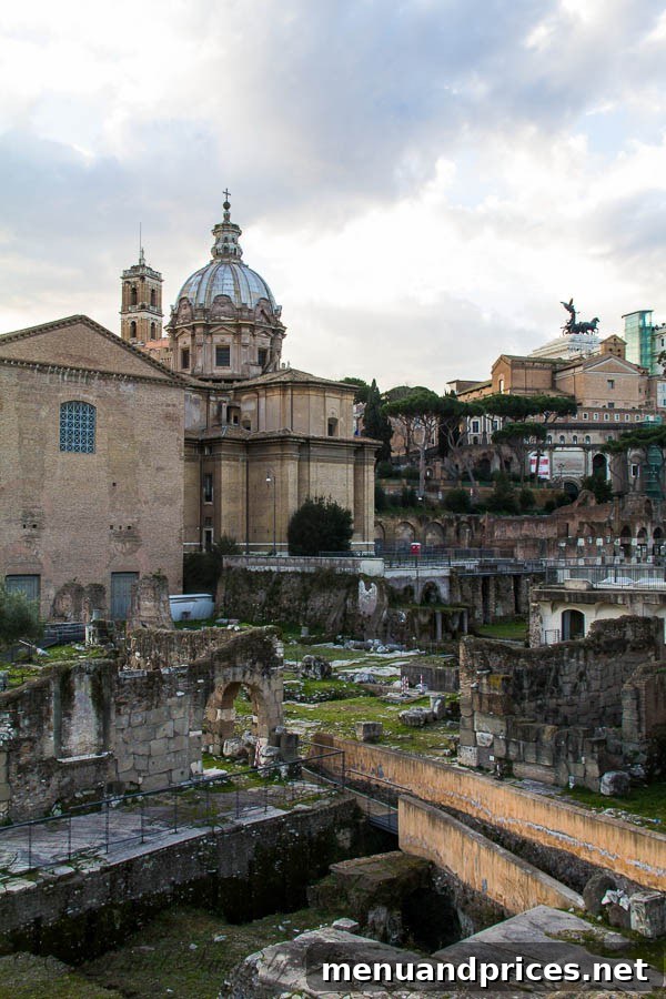 Travel Photo Journal Rome ancient ruins vista