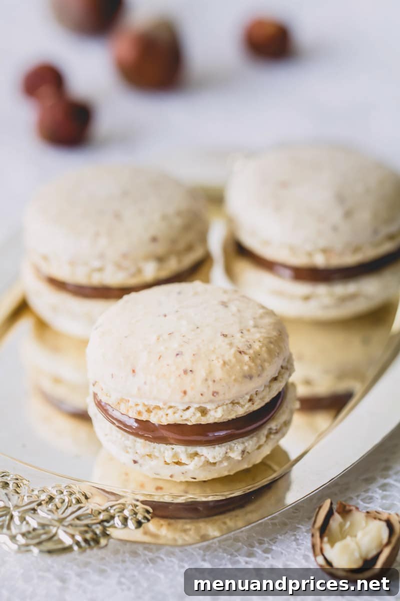 Chocolate Hazelnut Praline Macarons 2 Beautifully piped chocolate hazelnut macaron shells on a baking sheet, showcasing their characteristic 'feet'.