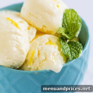 Zesty Lemon Dream 8 Perfectly creamy homemade lemon ice cream.