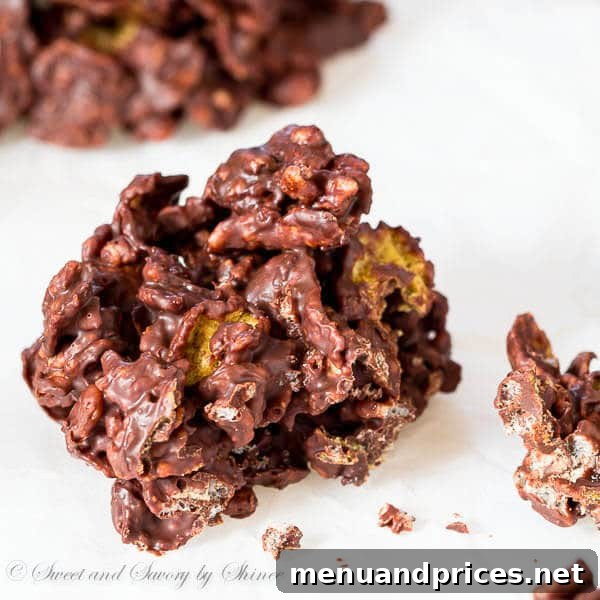 Orange Zest Chocolate Crunch 6 A cluster of orange infused chocolate crisps on a white plate, ready for serving or gifting.