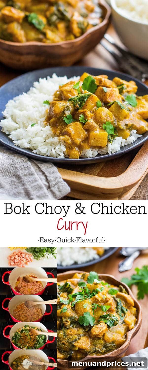 Golden Chicken Bok Choy Curry 2 A vibrant and comforting bowl of Bok Choy and Chicken Curry, garnished with fresh cilantro, photographed from above.
