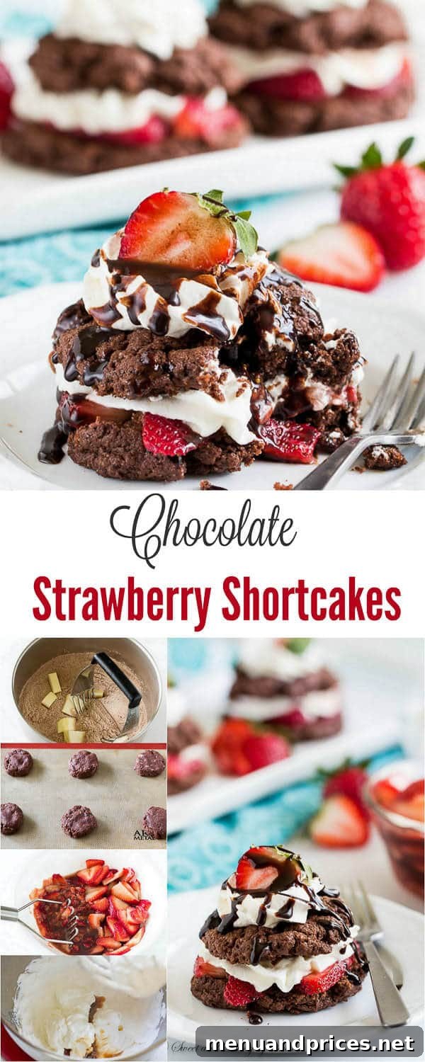 Chocolate Strawberry Shortcake with fresh berries and chocolate drizzle