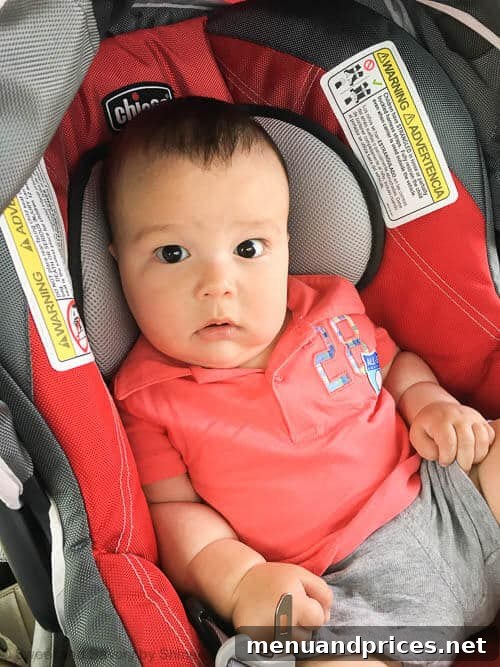 Grant's Half-Year Highlights 5 Baby Grant: 6-month Update