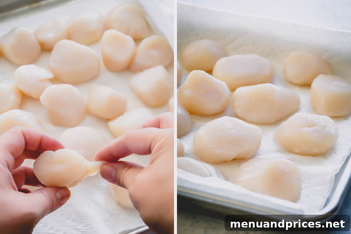 Tequila Lime Glazed Scallop Pasta 4 Side-by-side images illustrating the proper way to prepare scallops: one showing the removal of the side muscle, and the other demonstrating how to thoroughly pat them dry.