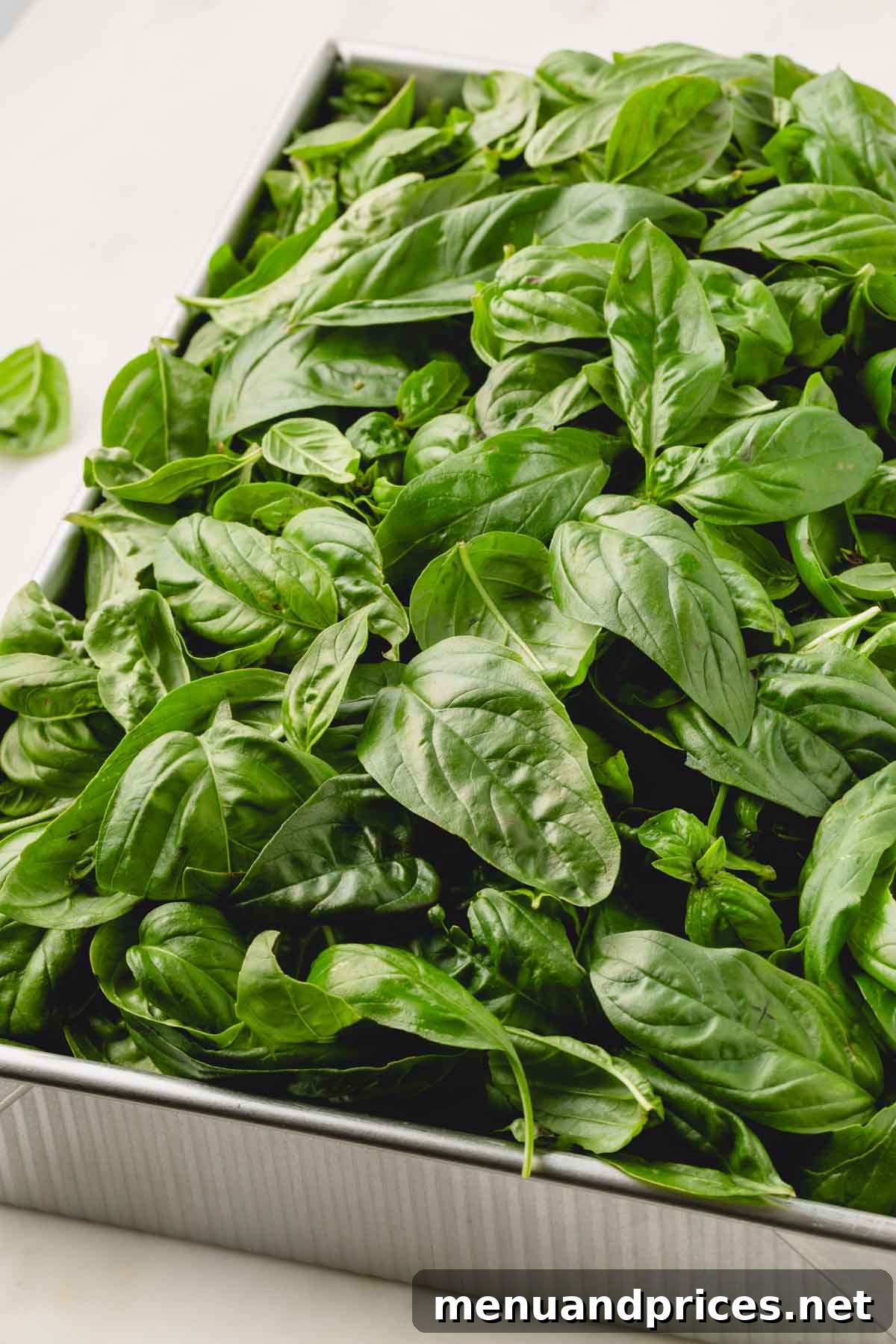 Big Batch Basil Pesto: A Freezer-Friendly Recipe 5 Fresh basil leaves neatly arranged in a metal box, prepared for freezing.