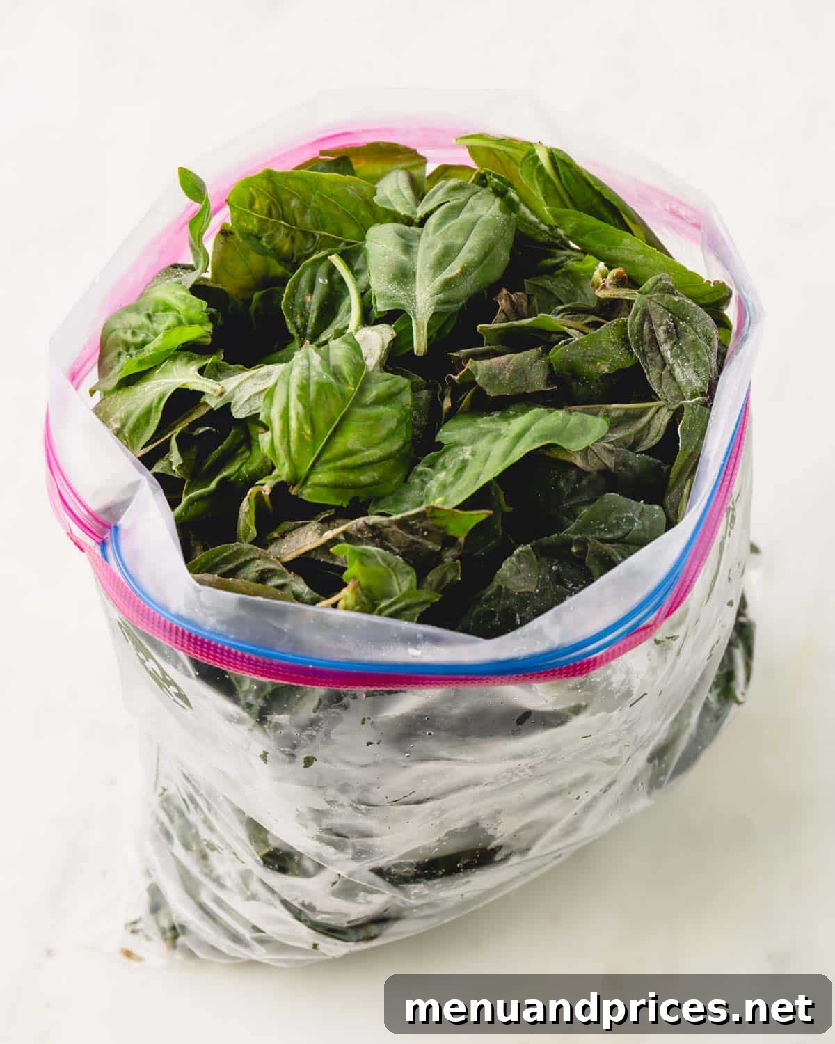 Big Batch Basil Pesto: A Freezer-Friendly Recipe 6 A transparent ziplock bag filled with perfectly frozen basil leaves, illustrating the prep-ahead step.